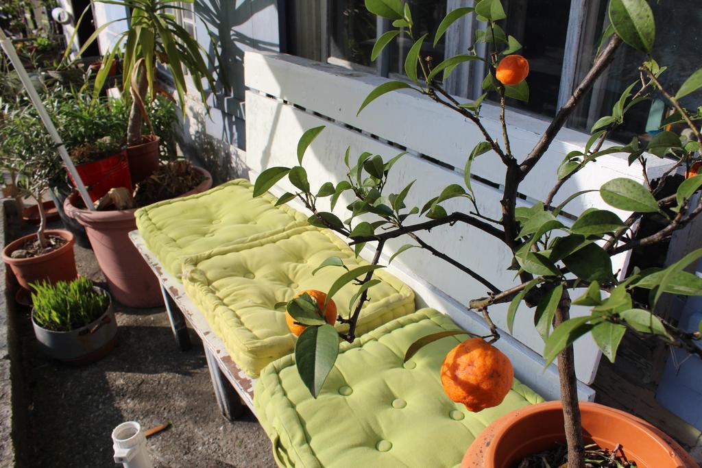 Ferienwohnung Nina Bildstein Buitenkant foto
